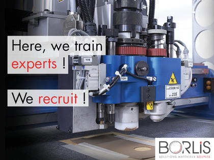 job offer_operator/adjuster